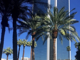 Phoenix office tower