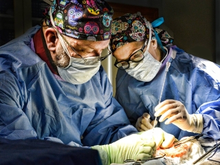 operation under way,phoenix