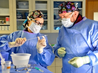 surgeons,phoenix,arizona